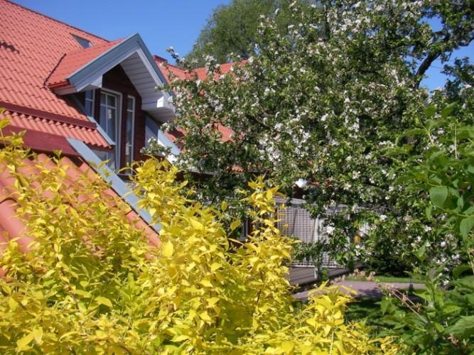 Apartamentai Obelyne パランガ エクステリア 写真