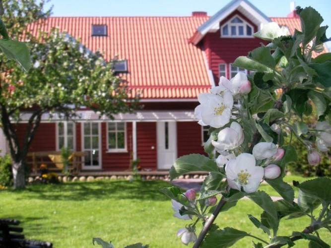 Apartamentai Obelyne パランガ エクステリア 写真