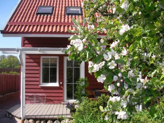 Apartamentai Obelyne パランガ エクステリア 写真