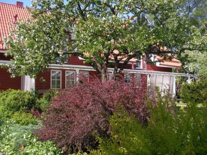 Apartamentai Obelyne パランガ エクステリア 写真